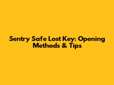 Sentry Safe Lost Key: Opening Methods & Tips