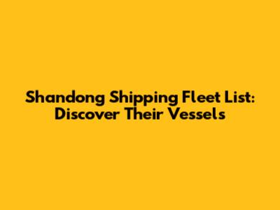 Shandong Shipping Fleet List: Discover Their Vessels