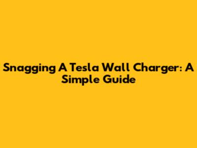 Snagging A Tesla Wall Charger: A Simple Guide