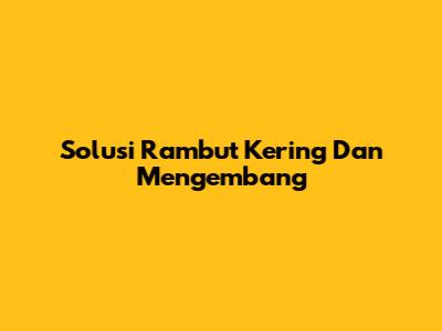 Solusi Rambut Kering Dan Mengembang