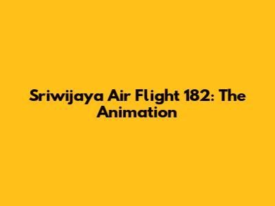 Sriwijaya Air Flight 182: The Animation