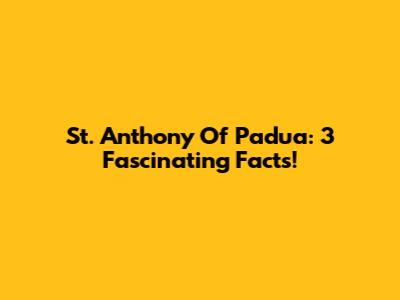 St. Anthony Of Padua: 3 Fascinating Facts!