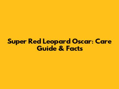 Super Red Leopard Oscar: Care Guide & Facts