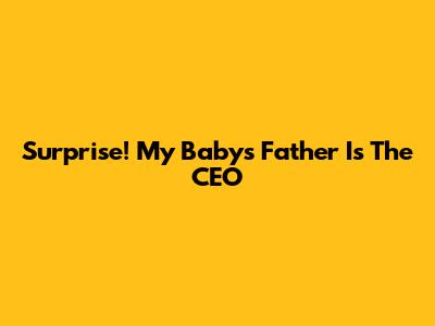 Surprise! My Baby's Father Is The CEO