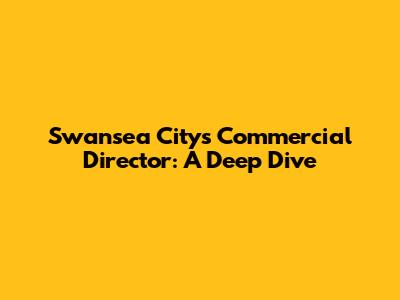 Swansea City's Commercial Director: A Deep Dive