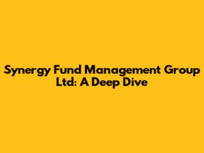 Synergy Fund Management Group Ltd: A Deep Dive