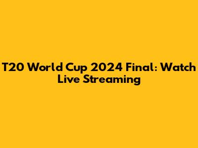 T20 World Cup 2024 Final: Watch Live Streaming