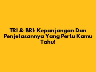 TRI & BRI: Kepanjangan Dan Penjelasannya Yang Perlu Kamu Tahu!