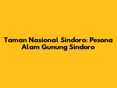 Taman Nasional Sindoro: Pesona Alam Gunung Sindoro
