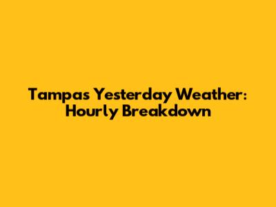 Tampa's Yesterday Weather: Hourly Breakdown