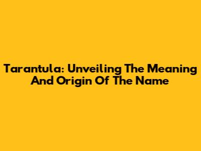 Tarantula: Unveiling The Meaning And Origin Of The Name