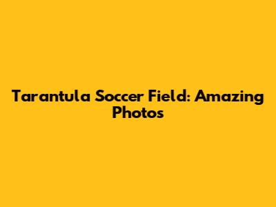 Tarantula Soccer Field: Amazing Photos