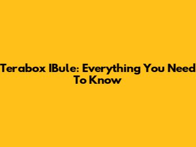 Terabox IBule: Everything You Need To Know