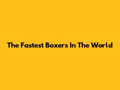 The Fastest Boxers In The World