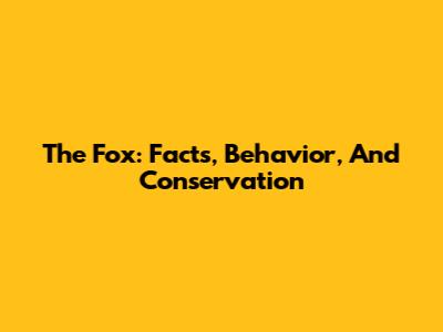 The Fox: Facts, Behavior, And Conservation