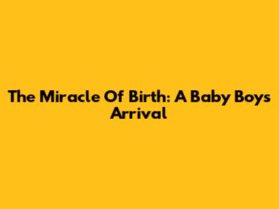 The Miracle Of Birth: A Baby Boy's Arrival