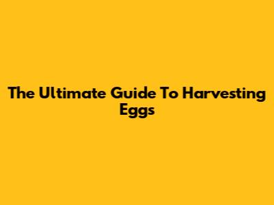 The Ultimate Guide To Harvesting Eggs