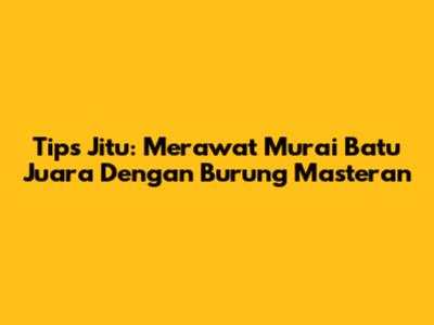 Tips Jitu: Merawat Murai Batu Juara Dengan Burung Masteran