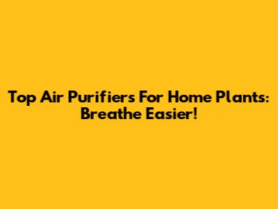 Top Air Purifiers For Home Plants: Breathe Easier!