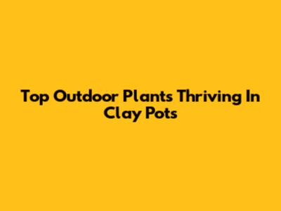 Top Outdoor Plants Thriving In Clay Pots