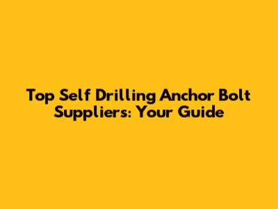 Top Self Drilling Anchor Bolt Suppliers: Your Guide