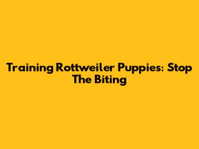 Training Rottweiler Puppies: Stop The Biting