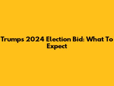 Trump's 2024 Election Bid: What To Expect