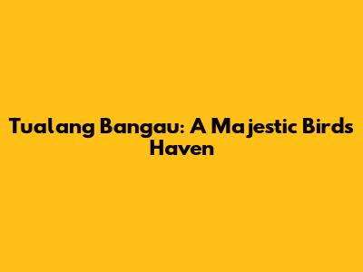 Tualang Bangau: A Majestic Bird's Haven