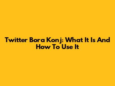 Twitter Bora Konj: What It Is And How To Use It
