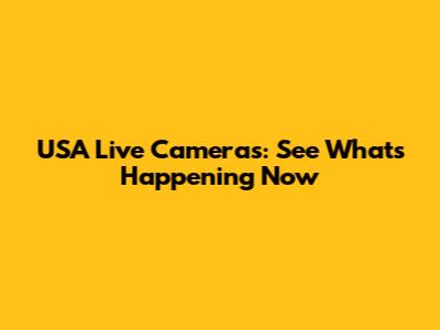 USA Live Cameras: See What's Happening Now