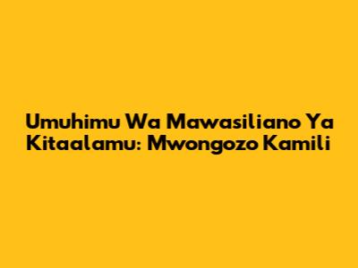 Umuhimu Wa Mawasiliano Ya Kitaalamu: Mwongozo Kamili