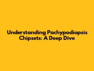 Understanding Pachypodiopsis Chipsets: A Deep Dive