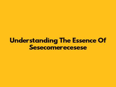Understanding The Essence Of Sesecomerecesese