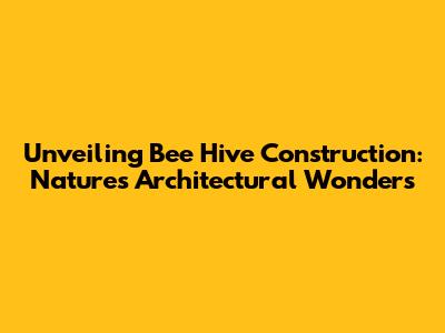 Unveiling Bee Hive Construction: Nature's Architectural Wonders