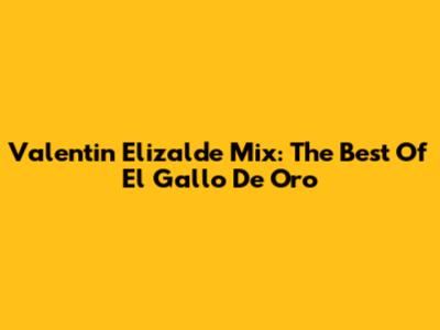 Valentin Elizalde Mix: The Best Of El Gallo De Oro