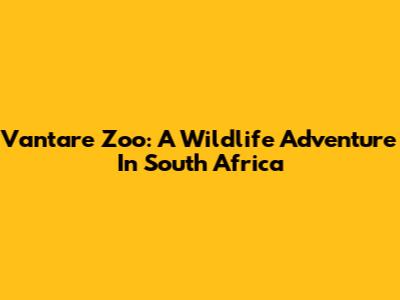 Vantare Zoo: A Wildlife Adventure In South Africa