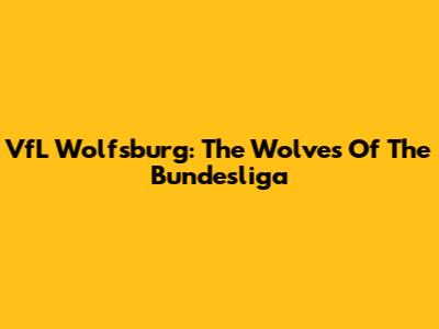 VfL Wolfsburg: The Wolves Of The Bundesliga