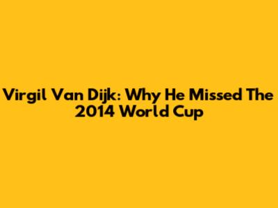 Virgil Van Dijk: Why He Missed The 2014 World Cup