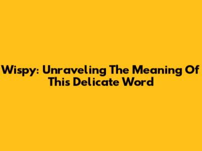 Wispy: Unraveling The Meaning Of This Delicate Word