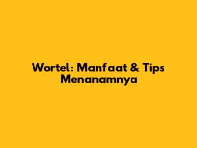 Wortel: Manfaat & Tips Menanamnya