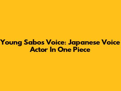 Young Sabo's Voice: Japanese Voice Actor In One Piece