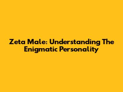 Zeta Male: Understanding The Enigmatic Personality
