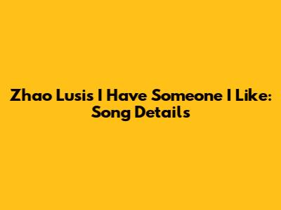 Zhao Lusi's "I Have Someone I Like": Song Details