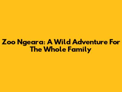 Zoo Ngeara: A Wild Adventure For The Whole Family